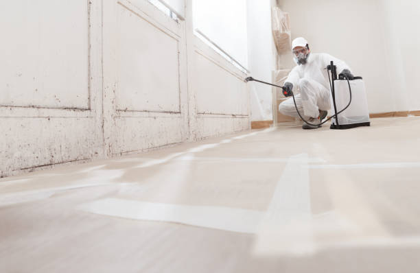 24/7 Emergency Mold Cleanup experts in Murfreesboro, NC