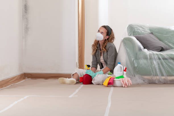 Reliable Mold Cleanup contractor in Murfreesboro, NC by Cheap Mold Removal